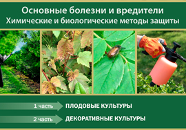 Вебинар по защите растений «Основные болезни и вредители, химические и биологические методы защиты» 