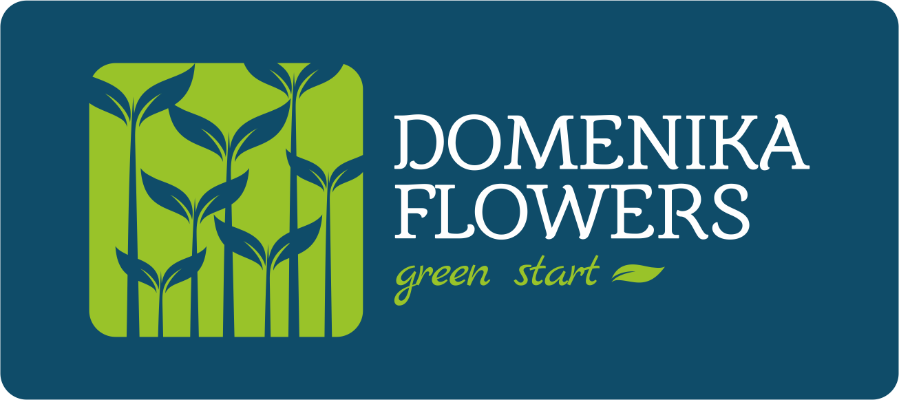 Питомник Domenika Flowers