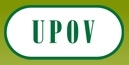 В России впервые пройдет сессия Международного союза по охране новых сортов растений