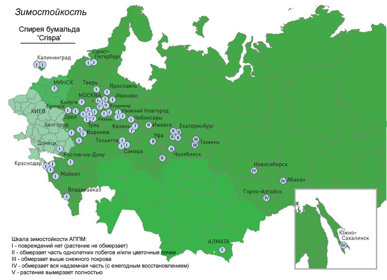 Зоны зимостойкости россии. Карта зон зимостойкости растений. Зоны зимостойкости растений России на карте. Карта морозостойкости растений. Питомники России на карте.