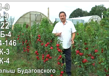 Как дурят российского садовода