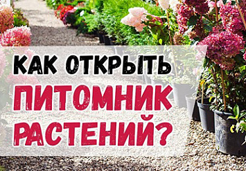 Приятное послевкусие