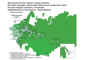 Обобщение данных по зимостойкости  декоративных видов и сортов древесных растений