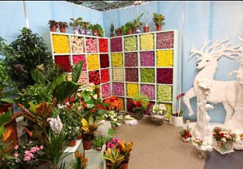 II-я международная выставка цветов, ландшафтной архитектуры и дизайна «URAL FLOWERS - 2013»