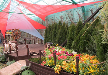 Праздник цветов в «Садовой компании «Садко»