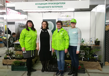 Отчет о выставке «Сибирская дача»