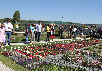 День поля в Егорьевском тепличном комбинате