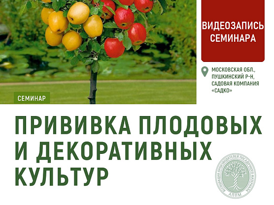 Видео семинара АППМ: «Прививка плодовых и декоративных культур» 