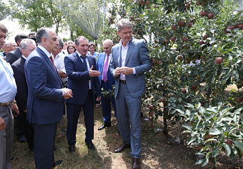 Александр Ткачев предложил кратно увеличить ставки субсидий по садам и питомникам