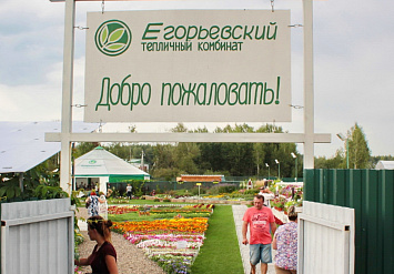 День открытых дверей в тепличном комбинате Егорьевский