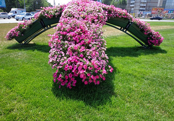 Сибирские цветы, г. Новосибирск